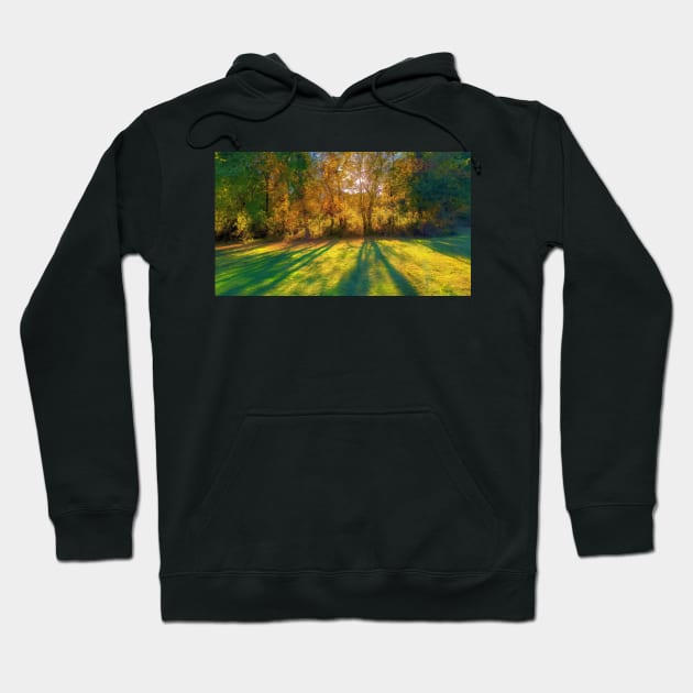 Mystical Fall Trees Hoodie by PandLCreations